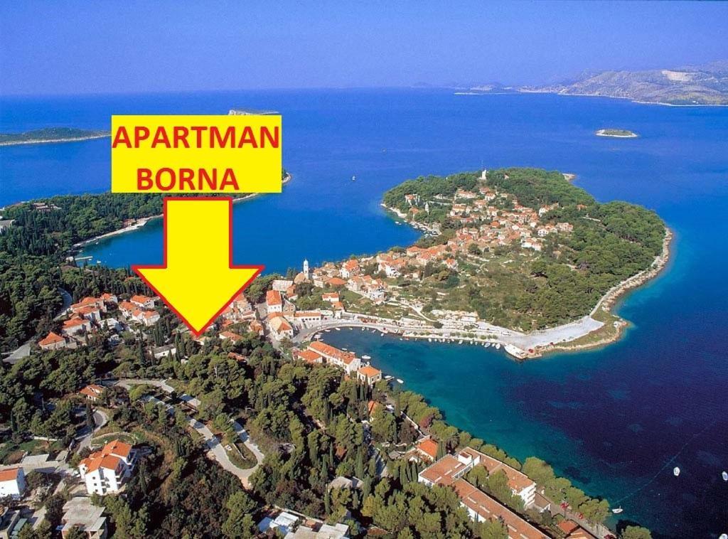 Apartman Borna Cavtat